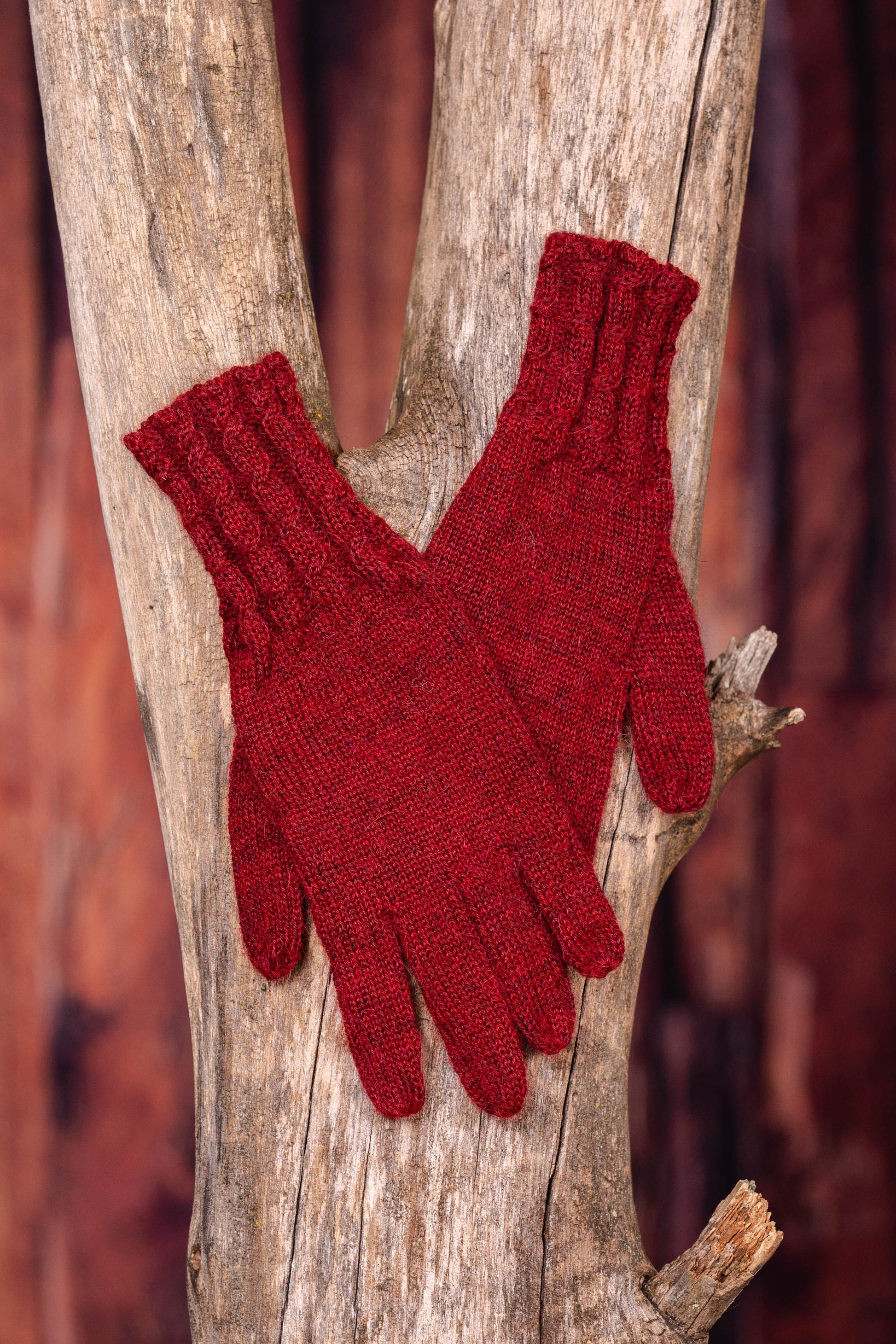 Paire de gants sur un tronc d'arbre
