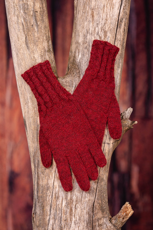 Paire de gants sur un tronc d'arbre
