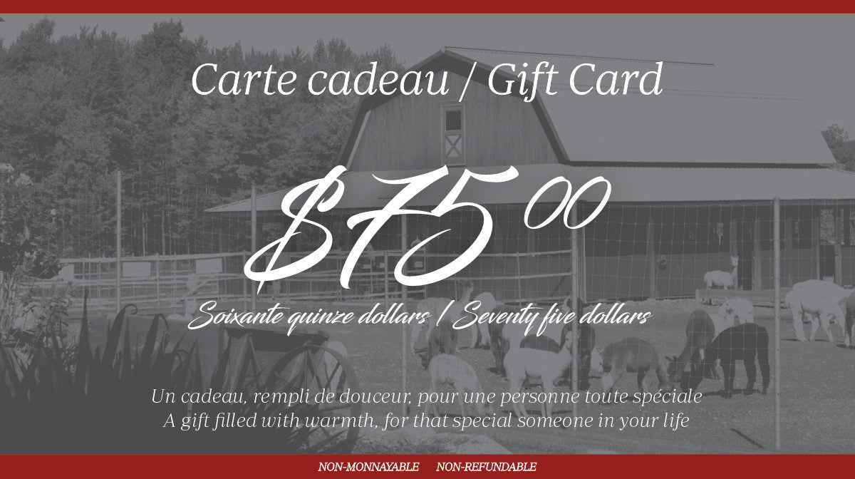 Carte cadeau digitale