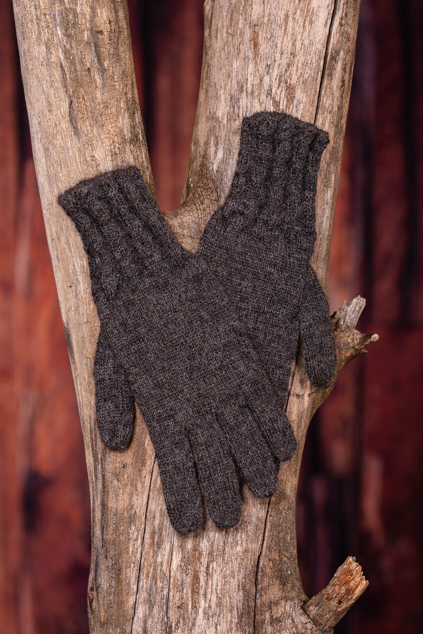 Paire de gants sur un tronc d'arbre