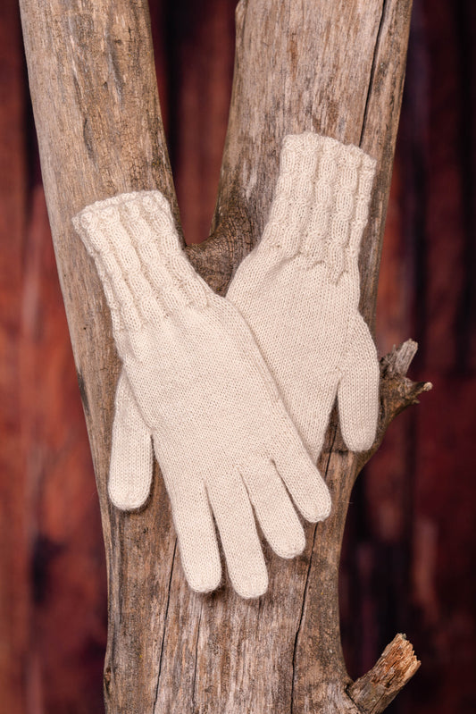 Paire de gants sur un tronc d'arbre