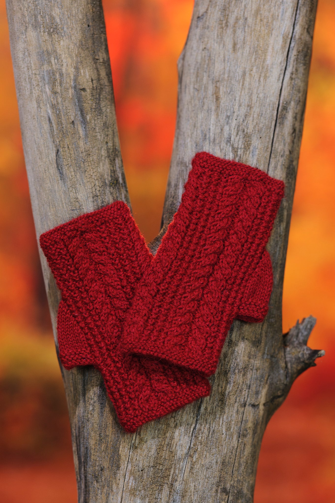 Mitaines sans doigts